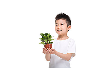 黑料整合网站推荐大全｜揭秘网络暗流：辨伪求真，理性导航黑料整合平台-1