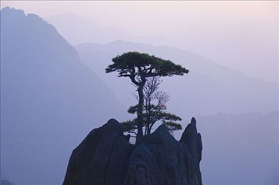 萝卜视频直播下载｜直播下载新纪元，萝卜视频领跑精彩瞬间-1