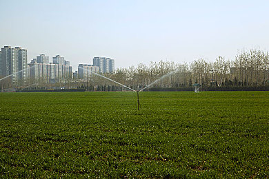 芋圆呀呀-纯白小兔吱–几次元｜跨次元互动新体验：芋圆与纯白小兔携手打造“几次元”梦幻之旅