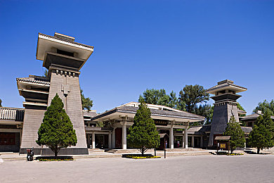 小弟怎么锻炼才能长大｜蜕变之旅：锻炼铸就青春力量，成就非凡自我