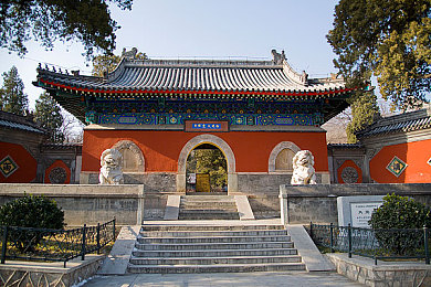 美美社区｜“宜居宜游美美社区：环境优美文化丰富，邻里和谐共建美好生活”