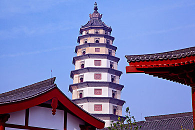 菠萝网站｜菠萝岛探险解谜，智慧之旅等你启航-2