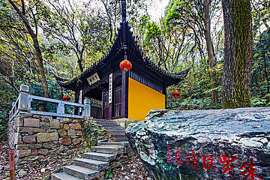 久久精里99｜沉浸视听新境界，＂久久精里99＂开启非凡视听之旅