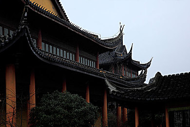 向日葵下载汅api免费网址ios｜＂向日葵下载汅＂多功能应用走红：便捷下载体验，API接口助力开发者创新-3