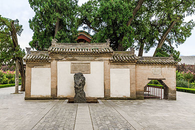 啊太子爷轻点子太深了｜“太子爷言论引发热议：年轻一代对社会现象的深刻反思与公众关注”-3