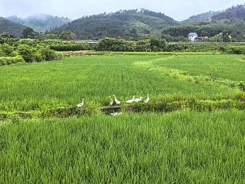 时代财富天地的地址与电话｜“揭秘时代财富天地：繁华商务地标，引领财富新潮流”-3
