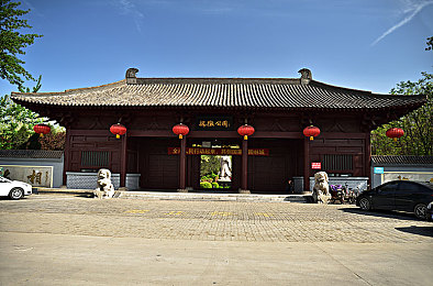 大菠萝福建｜甜蜜大菠萝：福建田园致富传奇-4
