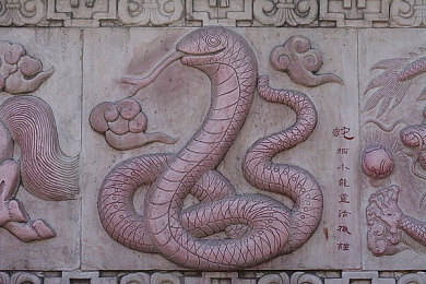 大豆行情网仙踪林｜农业奇幻探险，财富养成之旅-3