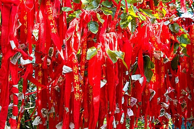 一想那事就就透明液体｜揭开隐秘之水：日常生活中的神秘透明液体之谜-4