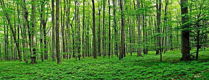 出租屋自拍贵在真实15P｜真实生活，自拍探秘：出租屋里的15个光影魔法-2