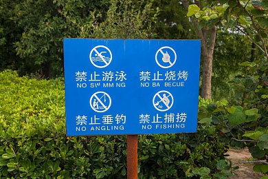 纪辰凌白汐小说全文免费阅读｜纪辰凌白汐：时空交织的奇幻之旅，免费阅读点燃阅读狂潮-5