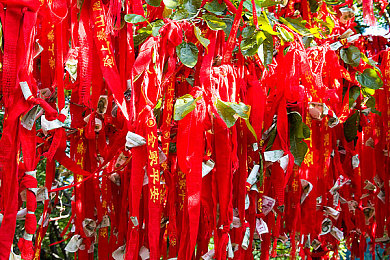 91大神艺校小琴在线观看｜音乐梦想在线课堂，开启你的艺术旅程-5