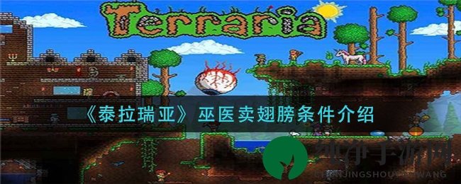 《泰拉瑞亚》巫医卖翅膀条件揭秘：硬核攻略，夜幕下获取叶之翼