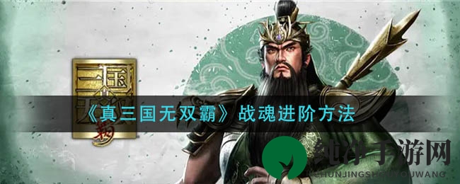 《真三国无双霸》战魂进阶攻略