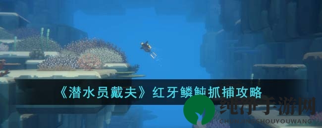 《潜水员戴夫》红牙鳞鲀抓捕攻略