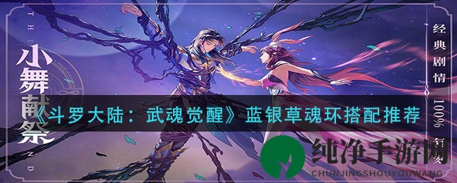 《斗罗大陆：武魂觉醒》蓝银草魂环搭配攻略，提升战斗力，揭秘控制系魂师秘籍