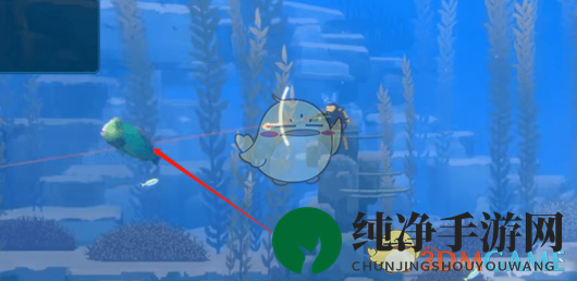 《潜水员戴夫》鹦嘴鱼捕捉攻略